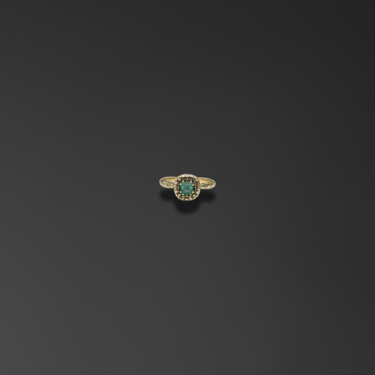 The ring 