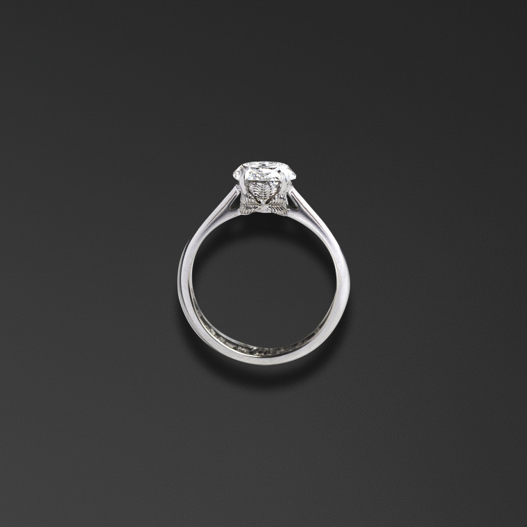 Der Ring 