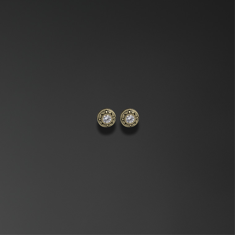 Save and Protect earrings