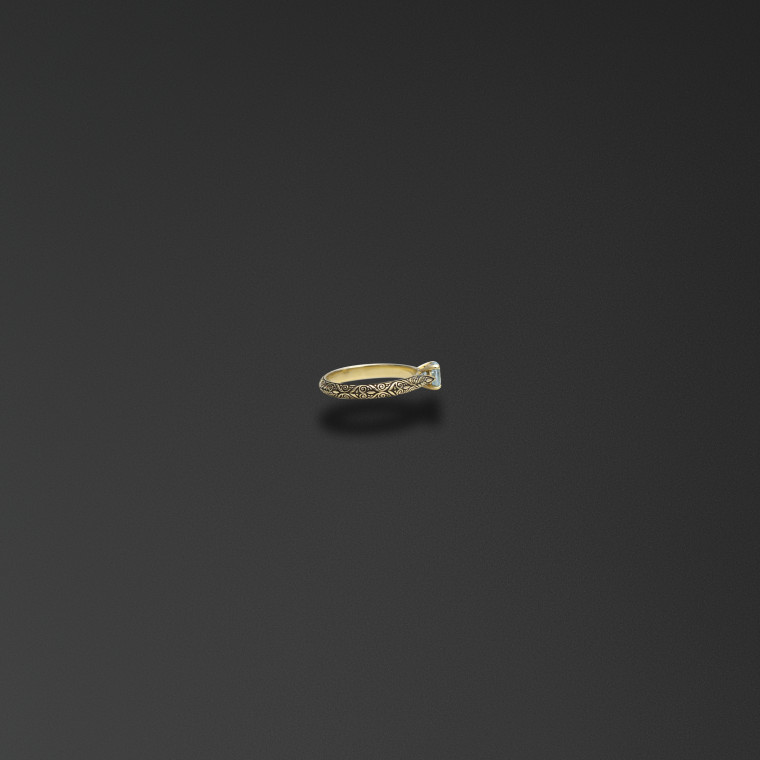 The ring 