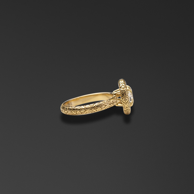 The ring 