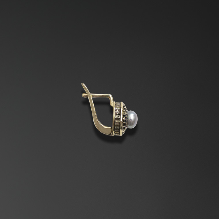 Save and Protect earrings