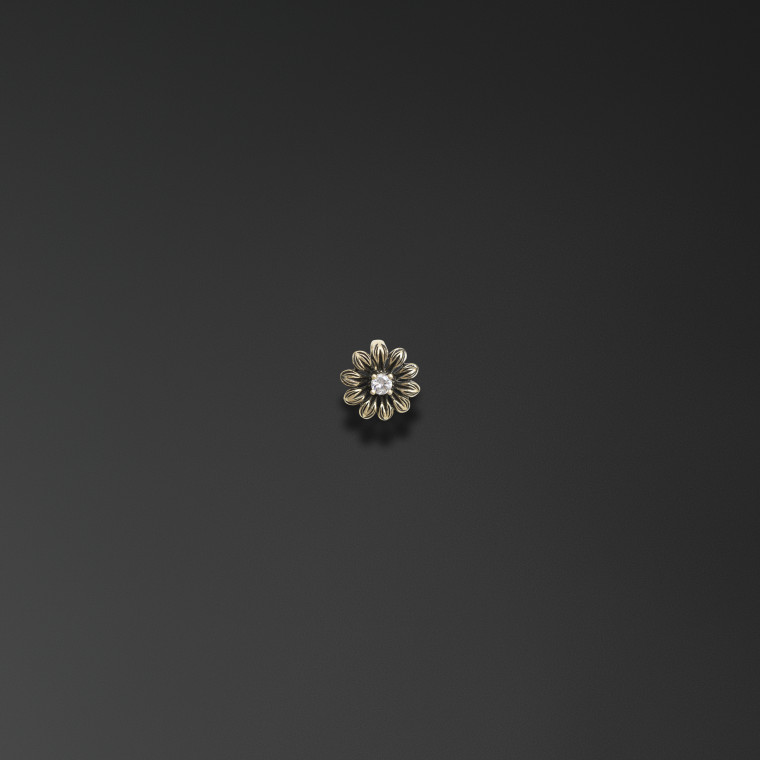 Camomile suspension