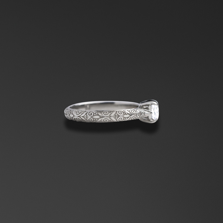 The ring 