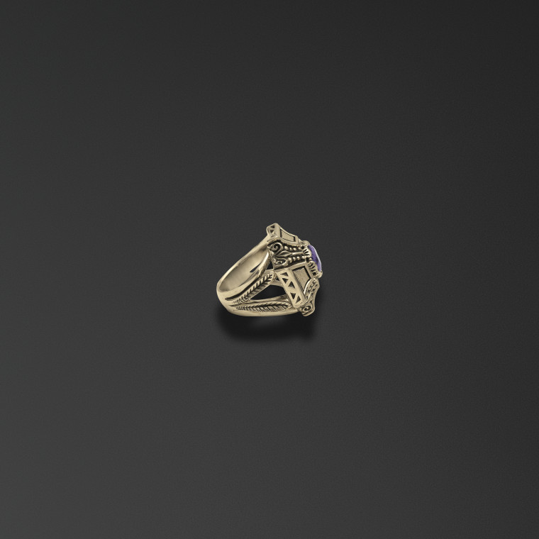 The Ring of the Guard 