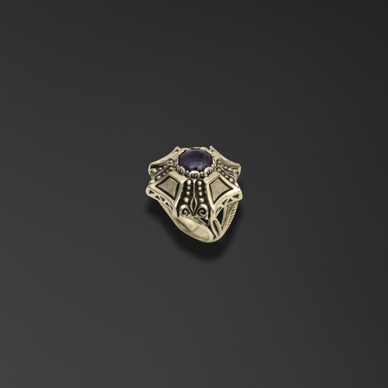 The Ring of the Guard 